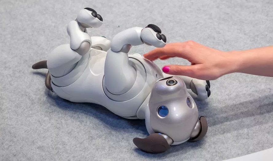 Новая игрушка расширит способности робота-собаки Sony Aibo»