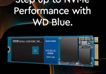 WD Blue SN500 NVMe SSD: доступные накопители ёмкостью 250 и 500 Гбайт"