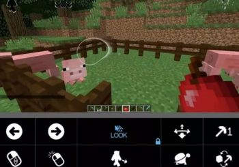 В Minecraft можно играть глазами