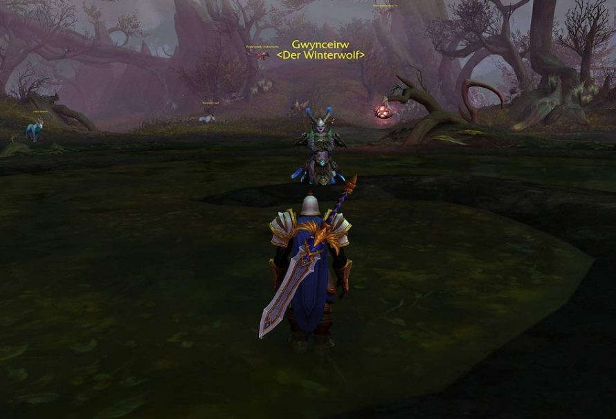 В бете World of Warcraft: Shadowlands обнаружили отсылку к «Ведьмаку»