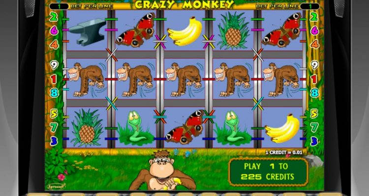 Обзор и описание игрового автомата Crazy Monkey (Безумная обезьяна)